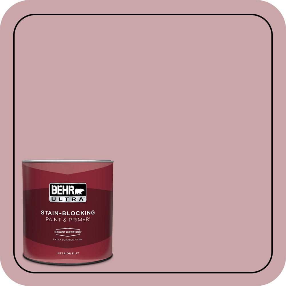 1 qt. Home Decorators Collection #HDC-CT-08A Hydrangea Bouquet Extra Durable Flat Interior Paint & Primer price history on PriceWatchPro