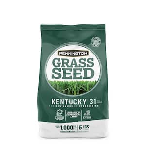 Kentucky 31 Tall Fescue 5 lb. 1,000 sq. ft. Grass Seed