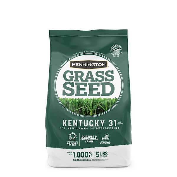 Pennington Kentucky 31 Tall Fescue 5 lb. 1,000 sq. ft. Grass Seed