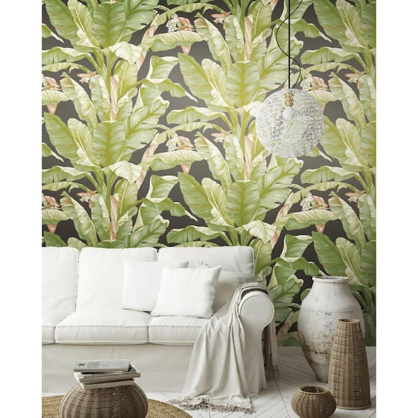 Removable York Wallcoverings AT7071 Tropics Banana Leaf Wallpaper Black/Green