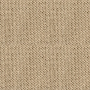 Lightbourne - Glowing - Brown 39.3 oz. Nylon Loop Installed Carpet
