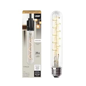 yanchi OダルトンLED WINE GLASS BULB A&B Baquler 2 Pcs LED Stained Glass Bulb A19/A60 3.5w E26 Base
