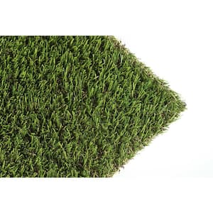 Lozano 15 ft. W x Cut to Length Field Green Artificial Grass Carpet