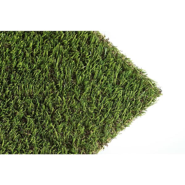 Omgeving een keer Coöperatie AstroLawn Lozano 15 ft. W x Cut to Length Field Green Artificial Grass  Carpet LO1008215UJ1500 - The Home Depot