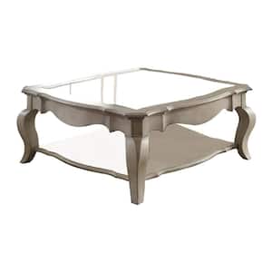 Chelmsford 42 in. Antique Taupe and Clear Glass Small Square Glass Coffee Table