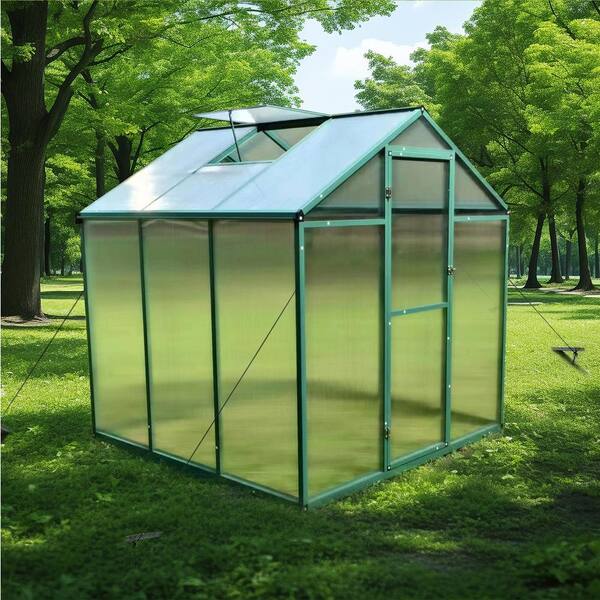 プレーヤー GREENHOUSE 1984185?$256$