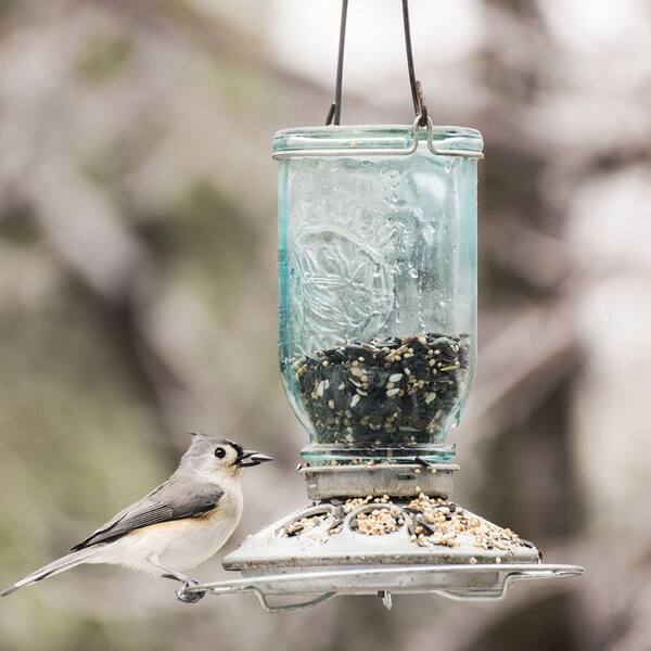mason jar pet feeder