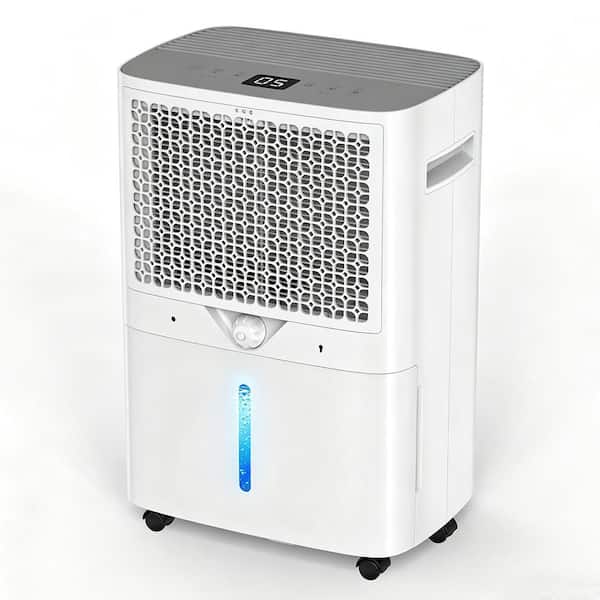 100 pt. 6,500 sq.ft. Dehumidifier for Basement, with Bucket, Drain Hose, Auto Defrost, Dual HUM LCD Display (White)