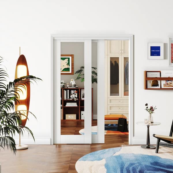 TENONER 60 in. x 80 in., White MDF Double Mirrored 1 Panel Glass Sliding Door with All Hardware