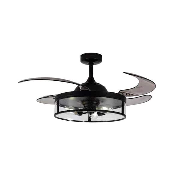 Fanaway Adelaide 36 in. Indoor Black Retractable Ceiling Fan with Light and Remote Included