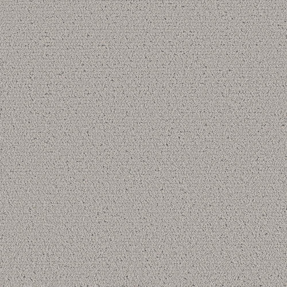 Lifeproof Poppy Color Aspen Silver Gray 42 oz. SD Polyester Pattern Installed Carpet HDF7272503
