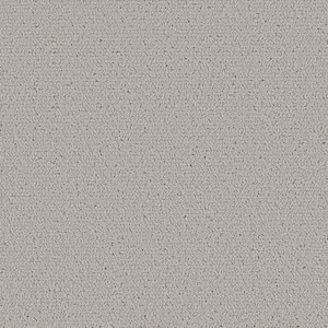 Night Owl - Quartz-Gray 12 ft. 42 oz. SD Polyester Pattern Intalled Carpet