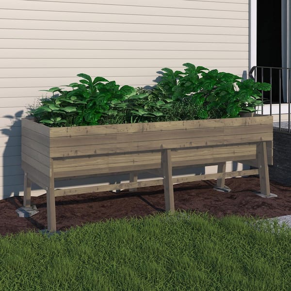 71 in. W x 31 in. D x 29 in. H Oversized Wooden Raised Garden Bed with Liner, Mocha Brown