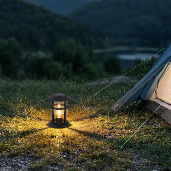 C Cattleya 1-Light Black Solar Outdoor Lantern with LED Light Bulb