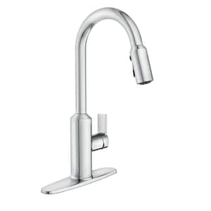 Meena Single-Handle Pull-Down Sprayer Kitchen Faucet with Power Clean and Reflex in Chrome