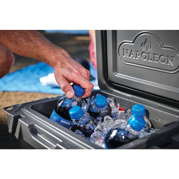 NAPOLEON 15 L Cooler Box with Bottle Opener 55220 - The Home Depot