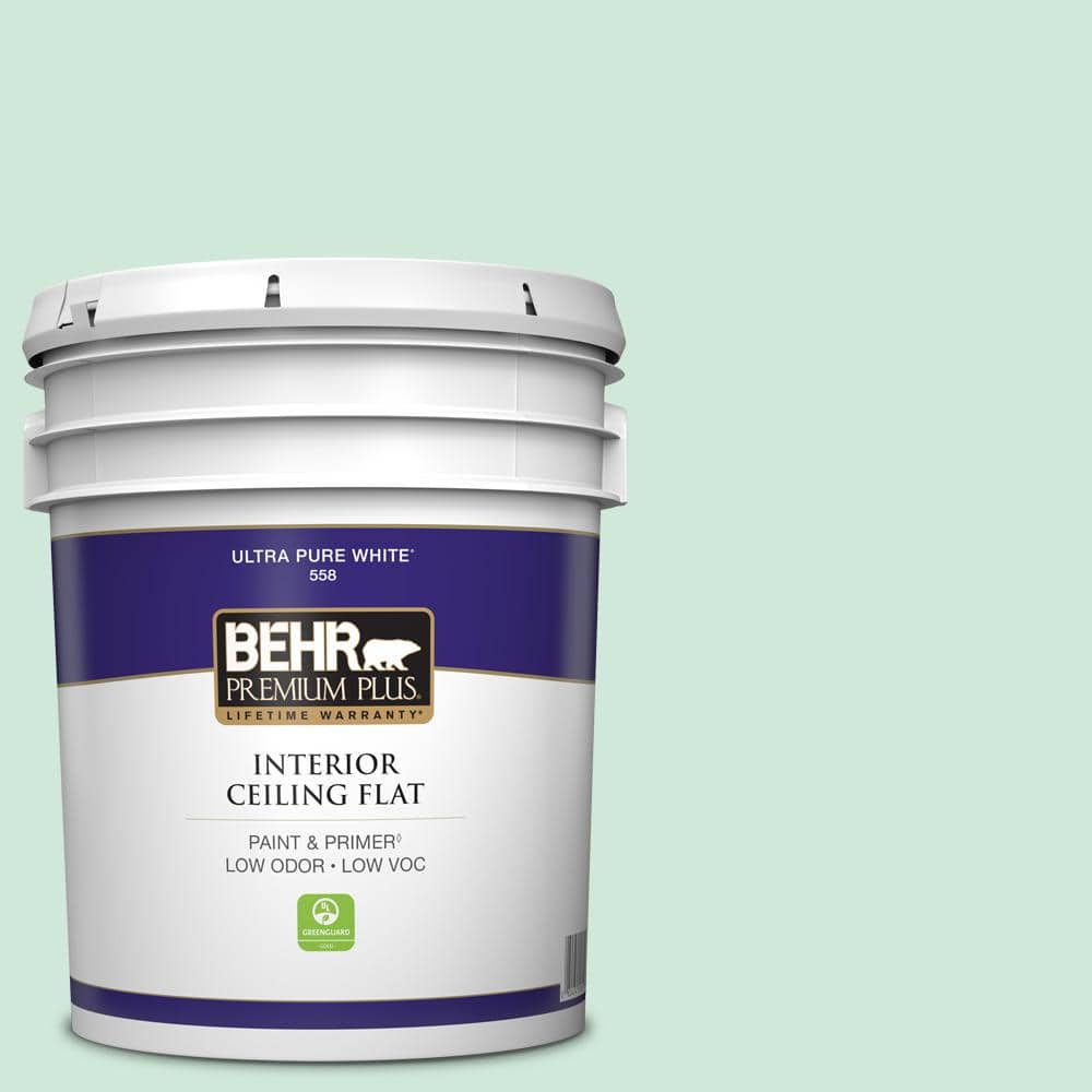 5 gal. #M420-2 Green Aqua Ceiling Flat Interior Paint price history on PriceWatchPro