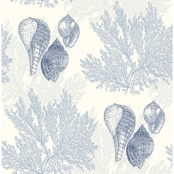 A-Street Prints Nauset Blue Seashell Shores Wallpaper Sample