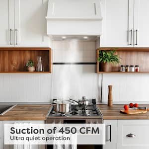 20 in. 450 CFM Ducted Insert Range Hood in Stainless Steel with 3 Speed Exhaust Fan, Push Button Control