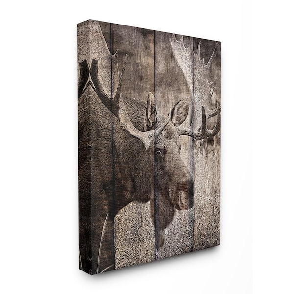 Stupell Industries 24 in. x 30 in. "Brown Moose Planked Look Photography" by Kimberly Allen Canvas Wall Art