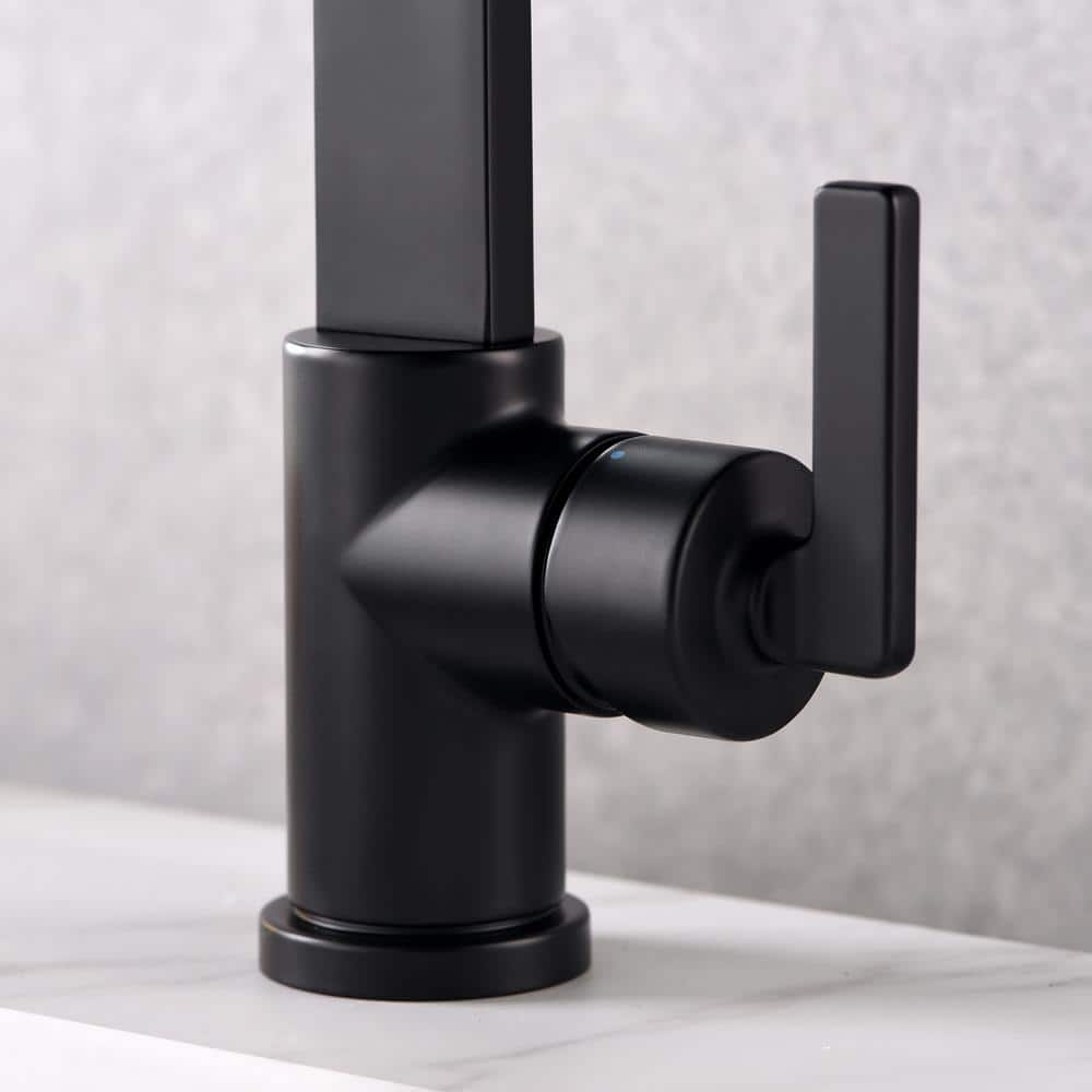 Matte Black Single-Handle Bathroom Faucet with Drain Assembly