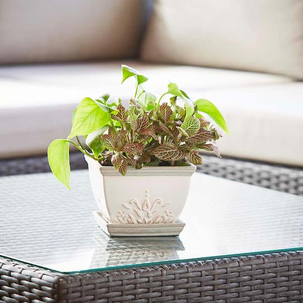 Brentwood 8.5 in. x 6.1 in. 4 Qt. White Ceramic Indoor Pot (2-Pack)