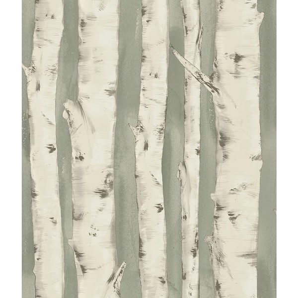 Chesapeake Pioneer Sage Birch Tree Paper Strippable Roll (Covers 56.4 sq. ft.)