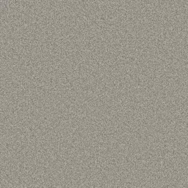 8 in. x 8 in. Texture Carpet Sample-Harpstring II-Color Beauty