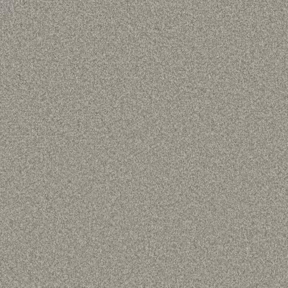 8 in. x 8 in. Texture Carpet Sample-Harpstring I-Color Beauty price history on PriceWatchPro