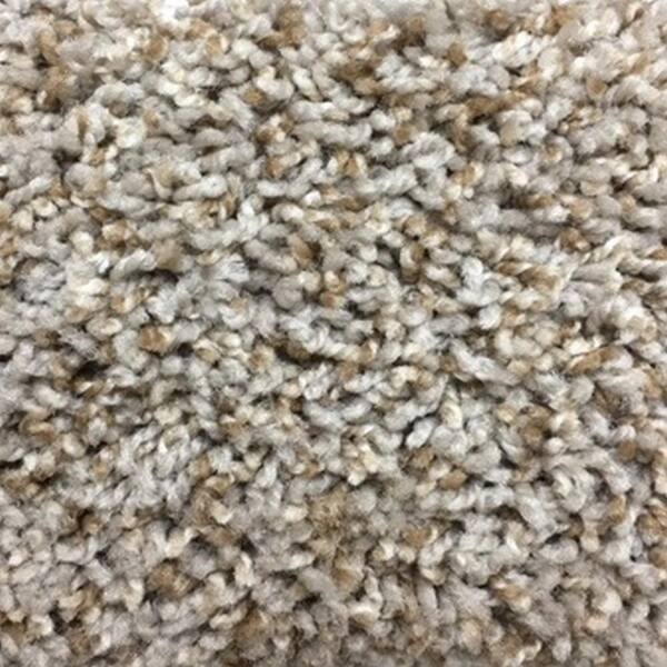 TrafficMaster 8 in. x 8 in. Texture Carpet Sample - Hurried -Color Starship