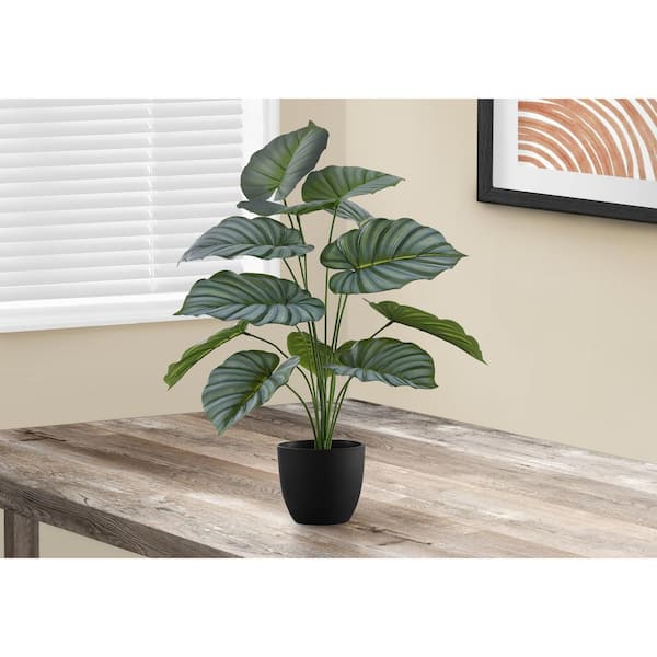 Unbranded 24 in. Green Artificial Calathea in 5 in. Black Plastic Pot