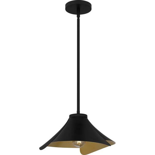Quoizel Wisp 100-Watt 1-Light Matte Black Pendant Light