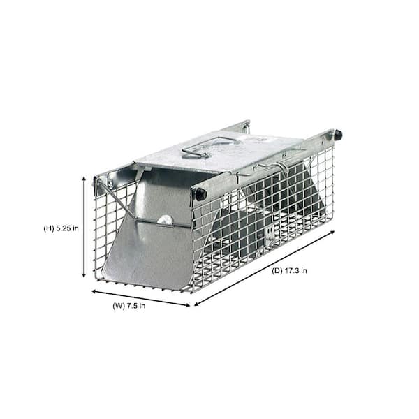 METAL MOUSE RAT AND SQUIRREL CAGE TRAP LIVE CATCH HUMANE NO POISON VERMIN RODENT 