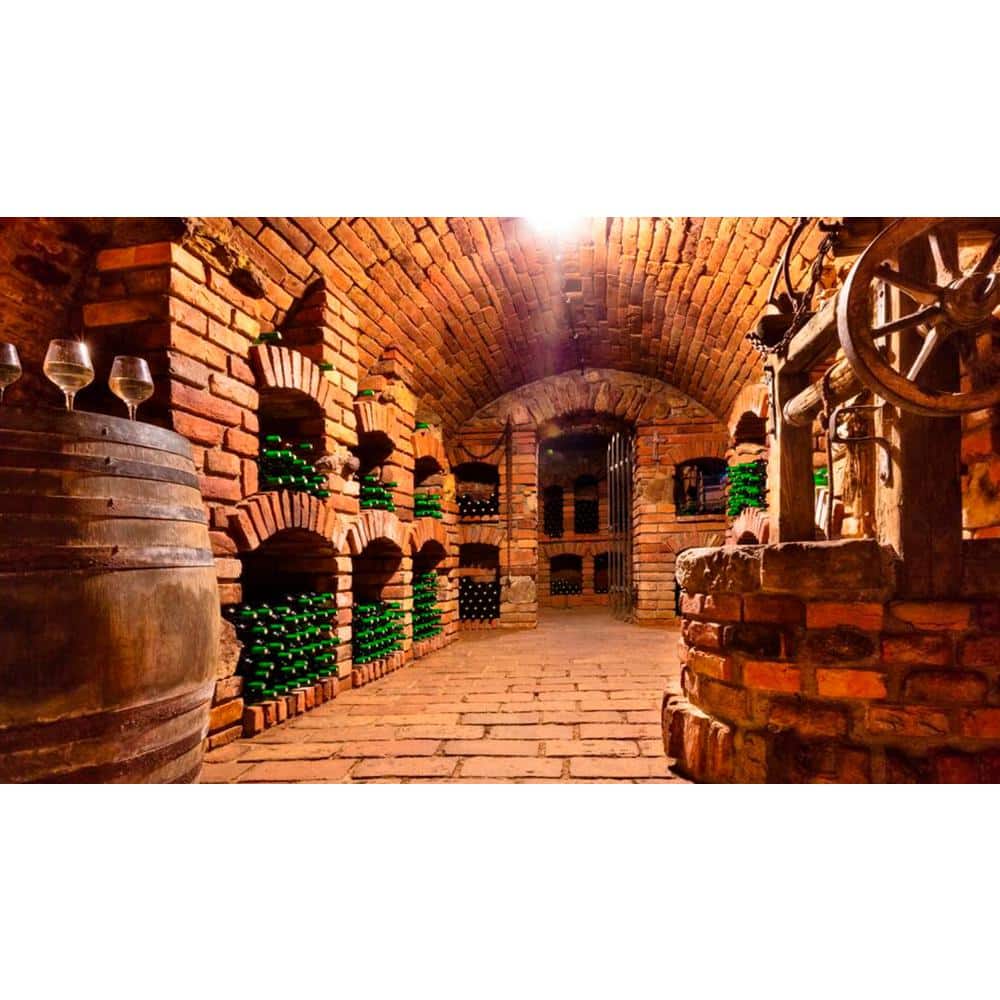 Vintage Wine Cellar Landscape Canvas Wall Art