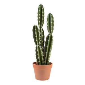 Artificial 26 in. Mexican Cactus Plants in Terracotta Pot