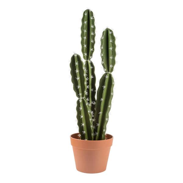 15 Favorite Cactus Plant Pots (2024 Buying Guide)