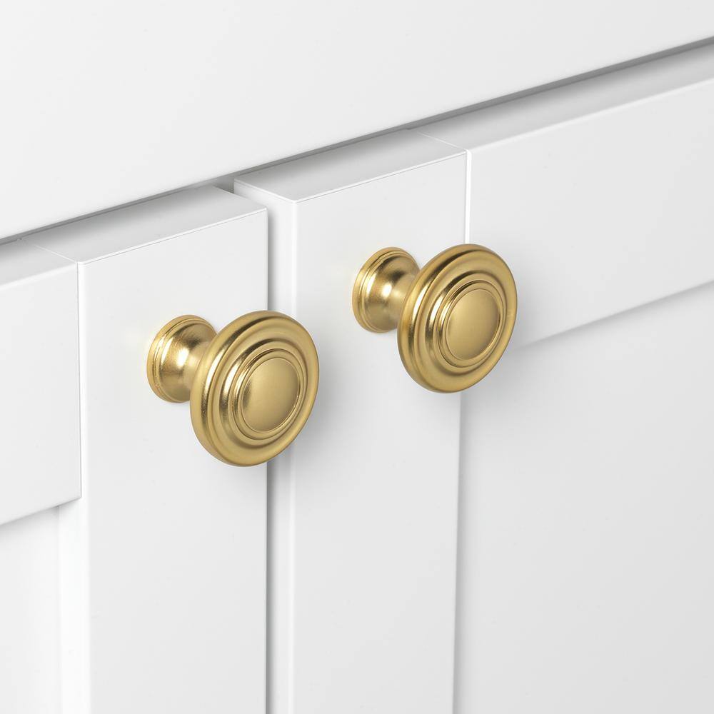Polished Brass Round Cabinet Knobs with Mounting Hardware, 1.25 in, Pack of 10