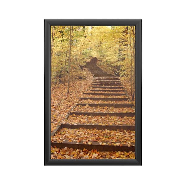 Trademark Fine Art "Fall Stairway" by Kurt Shaffer Framed with LED Light Landscape Wall Art 24 in. x 16 in.