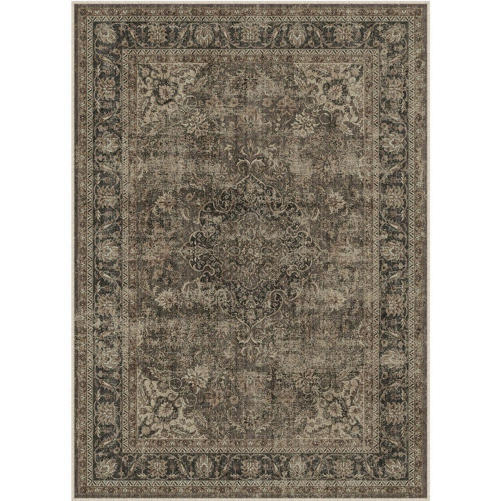 Kerman Brown 8 ft. x 10 ft. Vintage Medallion Distressed Area Rug price history on PriceWatchPro