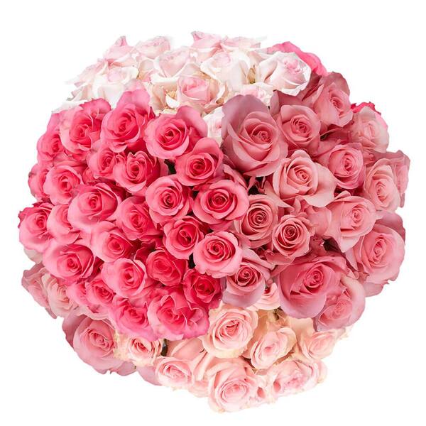 Globalrose 100 Stems - Fresh Cut Pink Roses 1850500097111 - The Home Depot