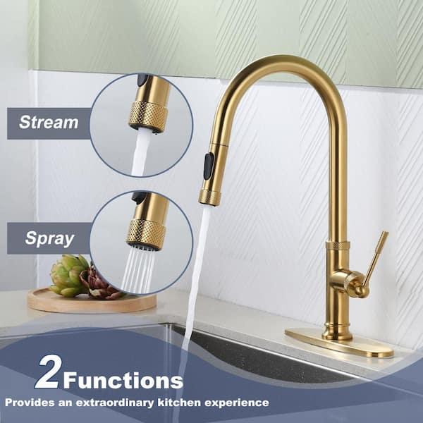 Brass Single Handle Pull Down Sprayer Kitchen Faucet with 2-Mode Advanced Spray, Deck Plate and Supply Lines in Gold