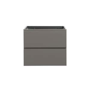 23.8 in. W x 17.9 in. D x 20.5 in. H Bath Vanity Cabinet without Top in Gray Finish Assembled Wall Mount with2 Drawers