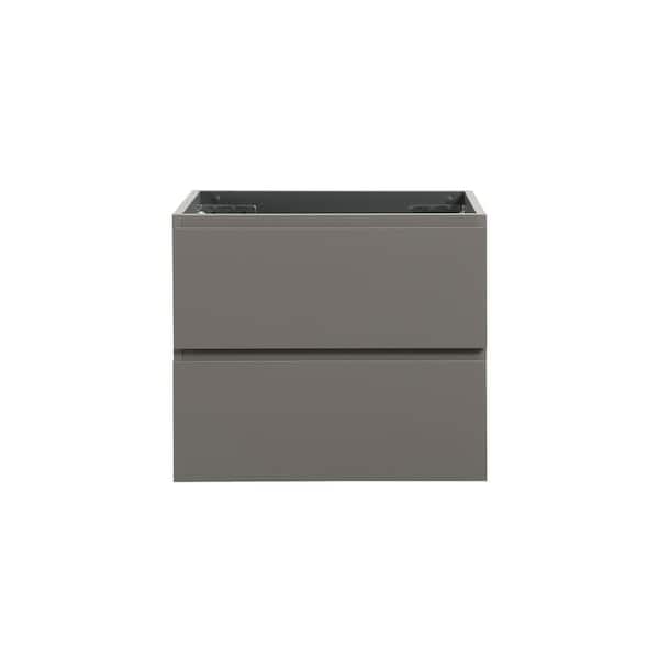 Aoibox 23.8 in. W x 17.9 in. D x 20.5 in. H Bath Vanity Cabinet without Top in Gray Finish Assembled Wall Mount with2 Drawers