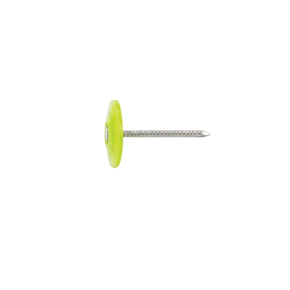 PRO-FIT 1-1/2 in. Electro Galvanized Ring Shank Nail with Plastic Cap ...