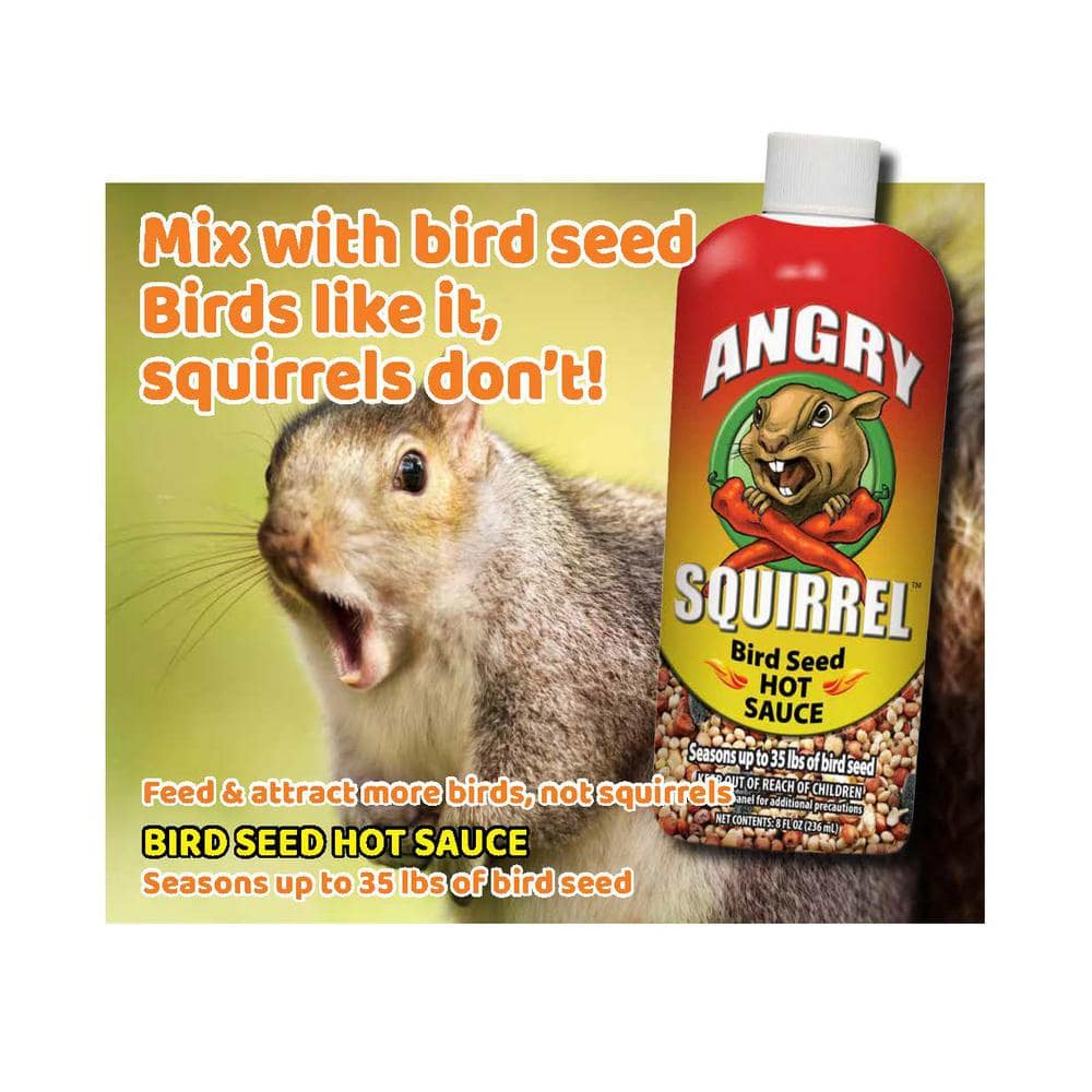 Buy 8 oz. Angry Squirrel Bird Seed Hot Sauce at Ubuy Singapore