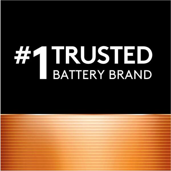 24 count long lasting Duracell all-purpose Triple A battery for household and business CopperTop AAA Alkaline Batteries 