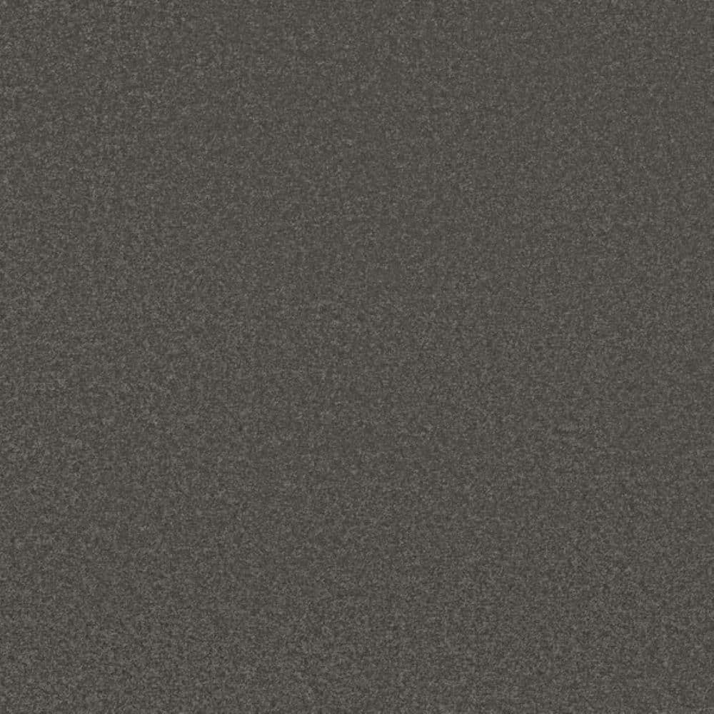 8 in. x 8 in. Texture Carpet Sample-Park Royal I-Color Driftwood price history on PriceWatchPro
