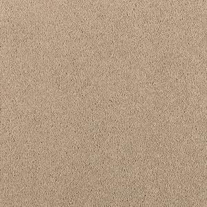 Home Decorators Collection 8 in. x 8 in. Texture Carpet Sample ...
