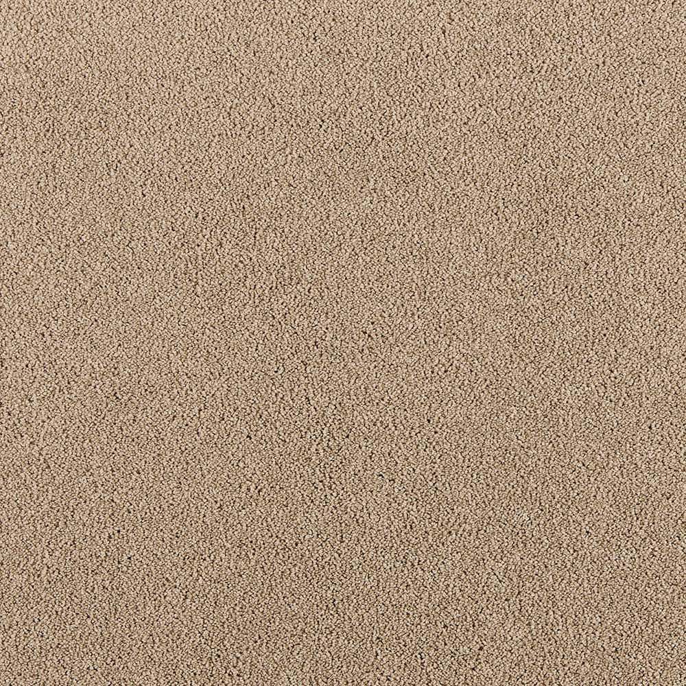 8 in. x 8 in. Texture Carpet Sample - Tailored Trends III -Color Luxe price history on PriceWatchPro