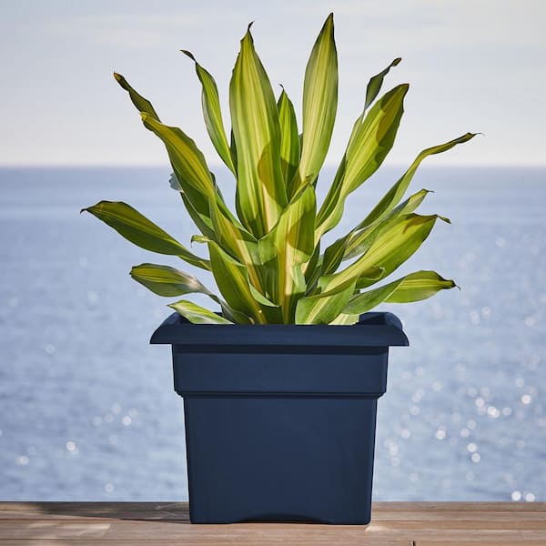 Veranda 18 in. L x 18 in. W x 14.25 in. H 36 qts. Navy Plastic Decorative Pot Deck Box Planter